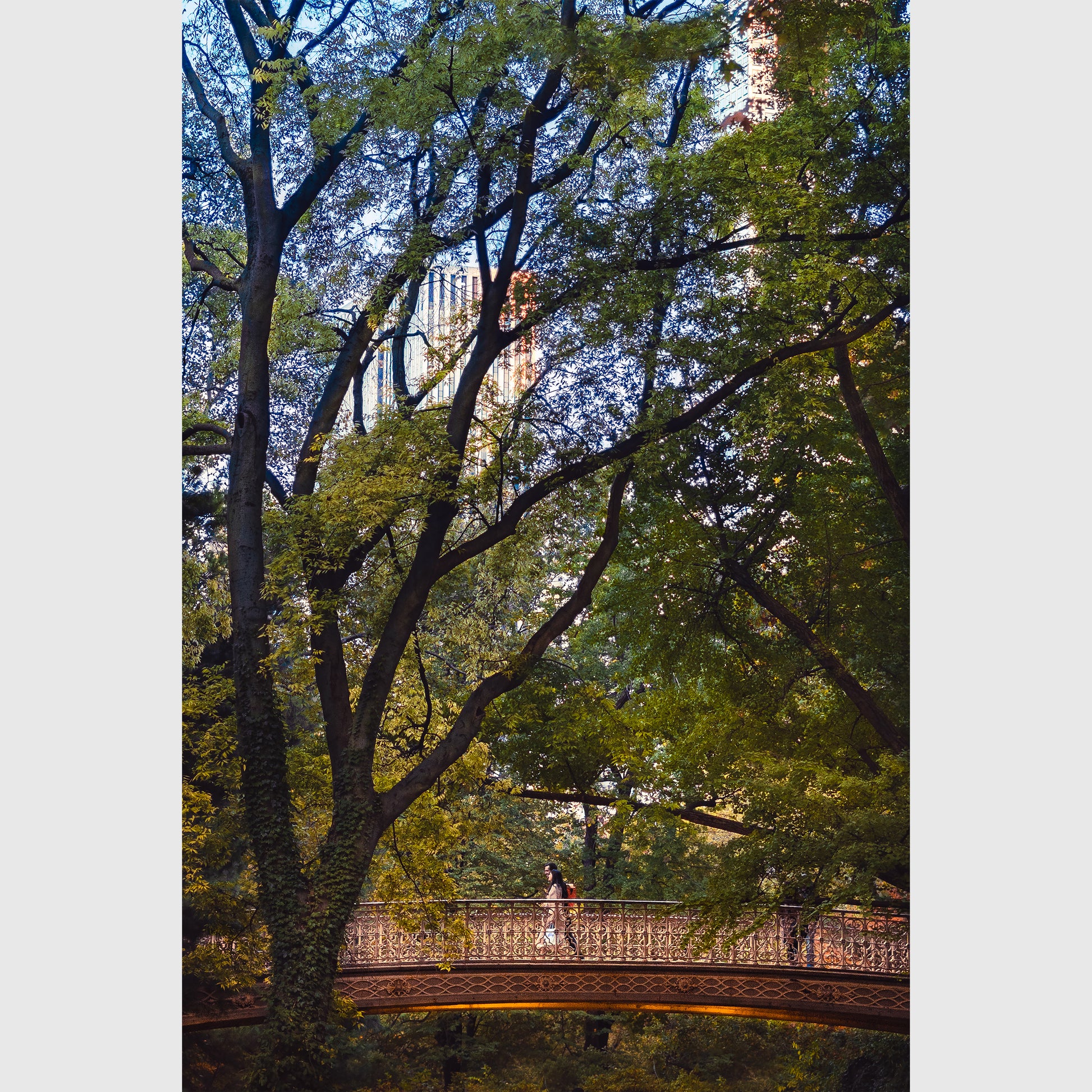 Central Park Glow - Vannopics, Day, New York, Still Life, Vertical