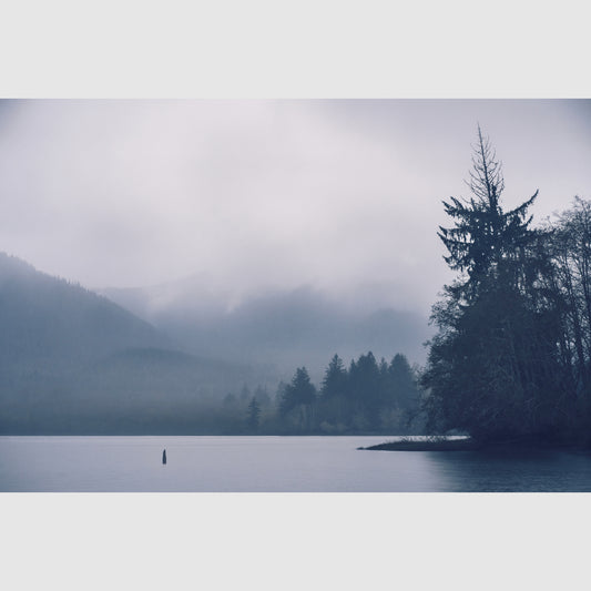 Misty Mountain Hop - Vannopics, Day, Horizontal, Olympic National Forest, Washington